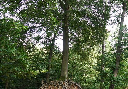 2018-OLV-Beuk-van-Lummen-5-1