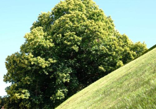 2020-West-Vlaanderen_new-500x380